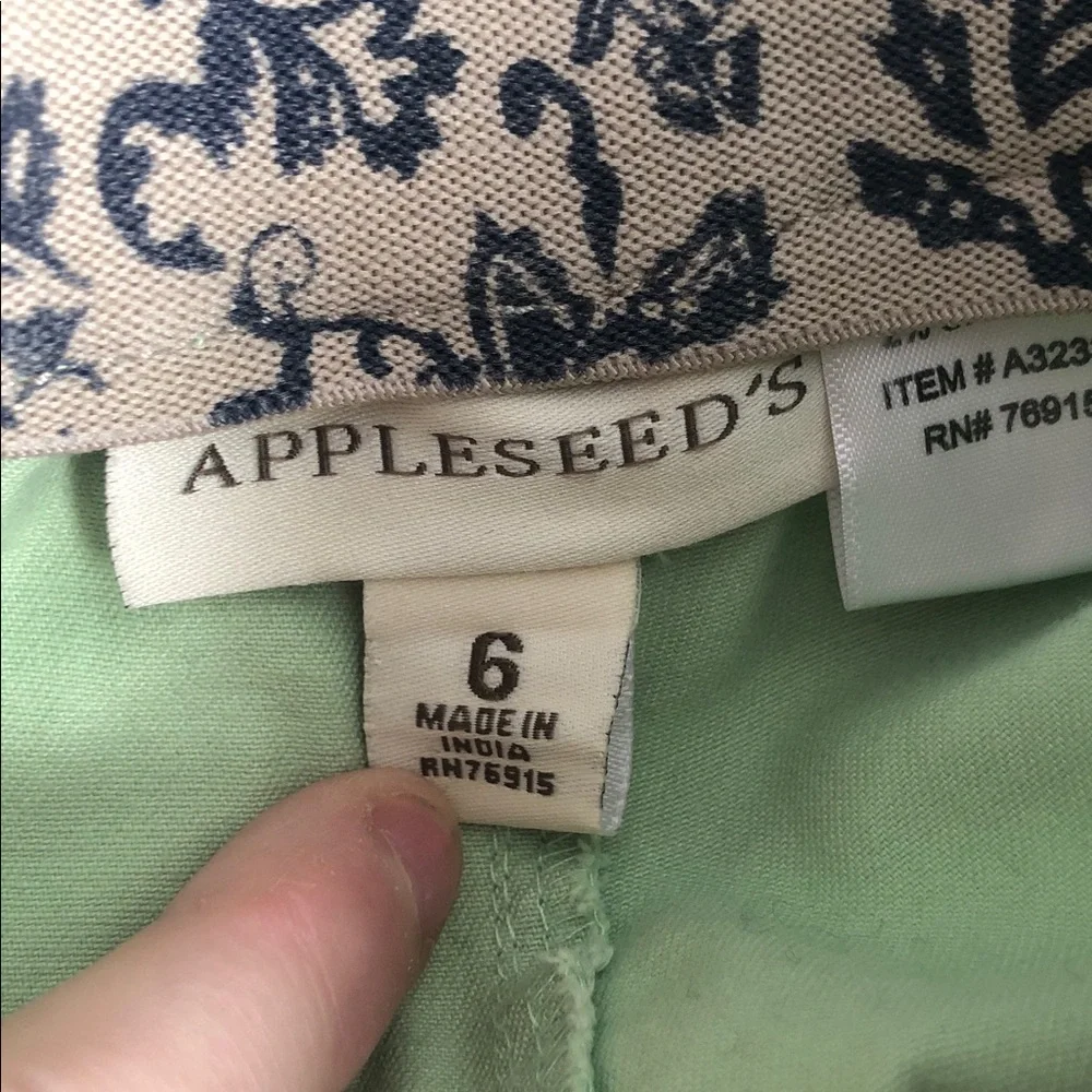 Light Green Straight-Leg Pants Women’s Size 6 Appleseeds Elastic Waist